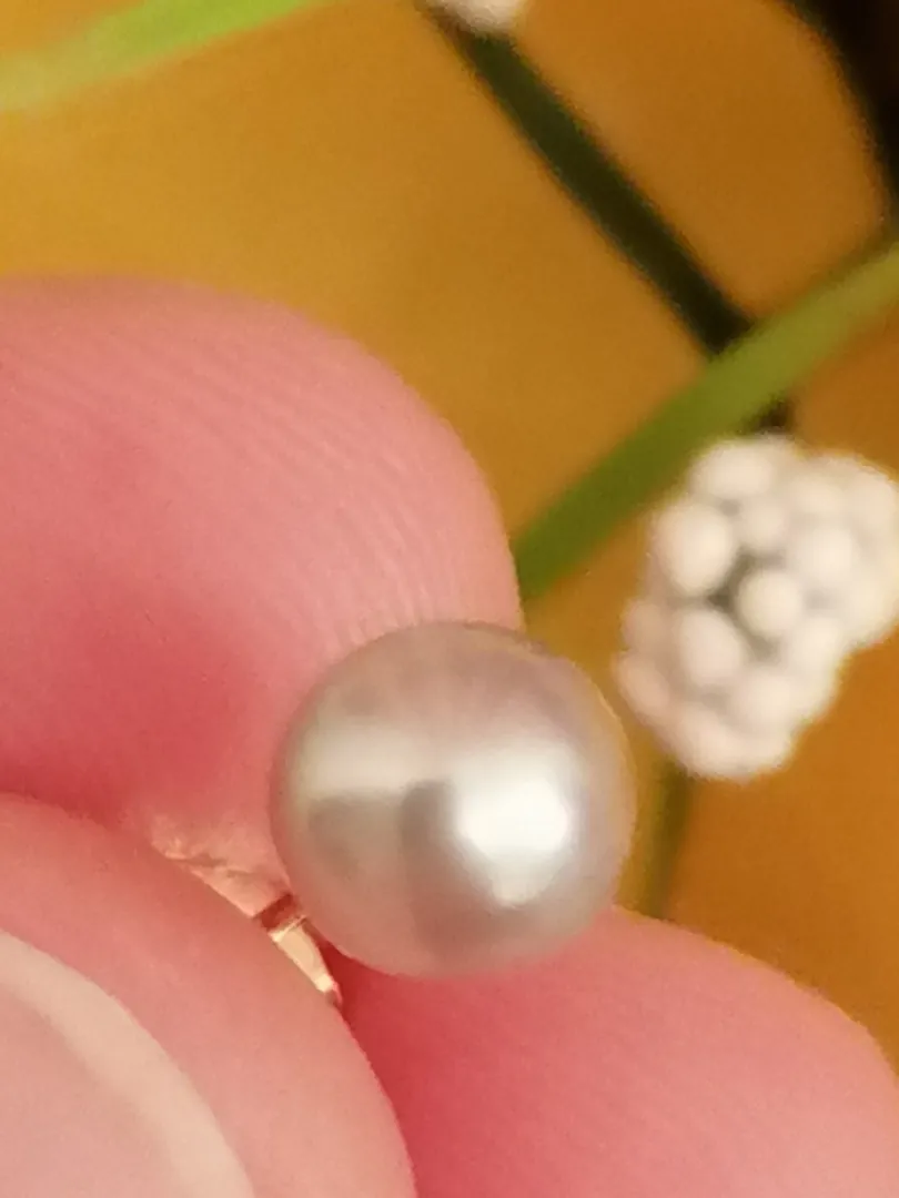 AKOYA Grey Natural Cultured Pearl stud earrings solid 18k Yellow GOLD South Sea Pearl AAA Anniversary Birthday gift for wife mother mom mum