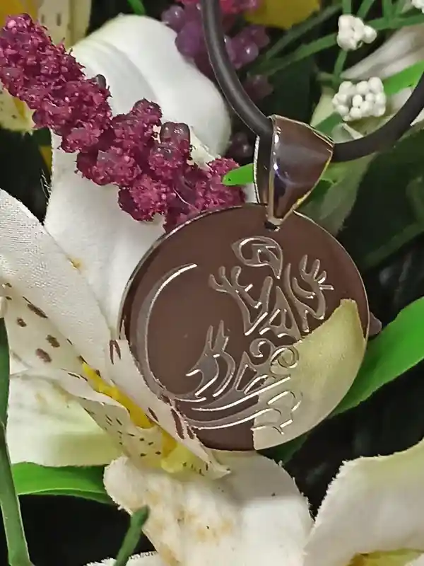 SILVER Gecko Necklace /Good luck Necklace /Gecko Jewelry/Gecko Pendant/Lizard Necklace/Reptile Necklace/Gecko Gift/Gecko Lizard Jewelry Gift 
